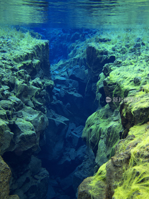 在平维利尔国家公园4浅层的西尔弗拉大陆分裂中覆盖着绿色地毯藻类的岩石沟的视图