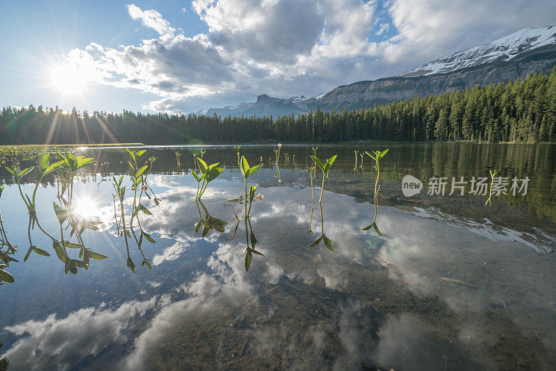 加拿大的山湖景观