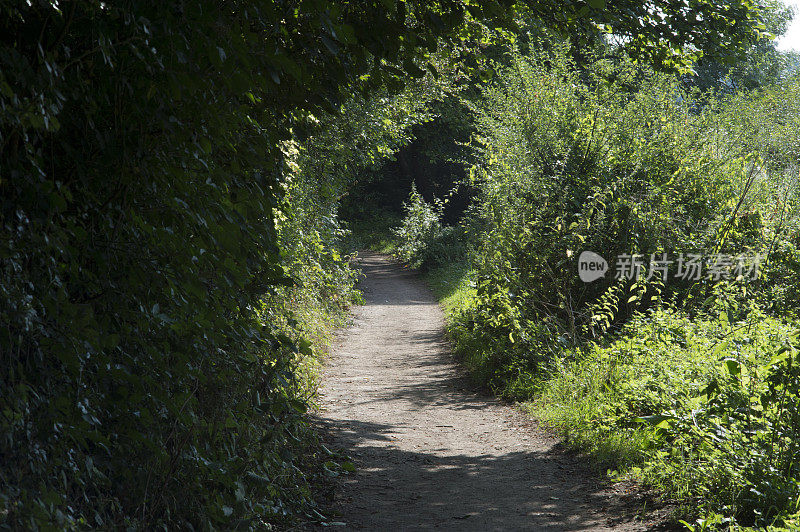 小路路小巷土路乡村乡村风景优美的风景，英国英格兰中部的沃里克郡