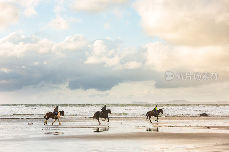 日落时，马在海滩上疾驰