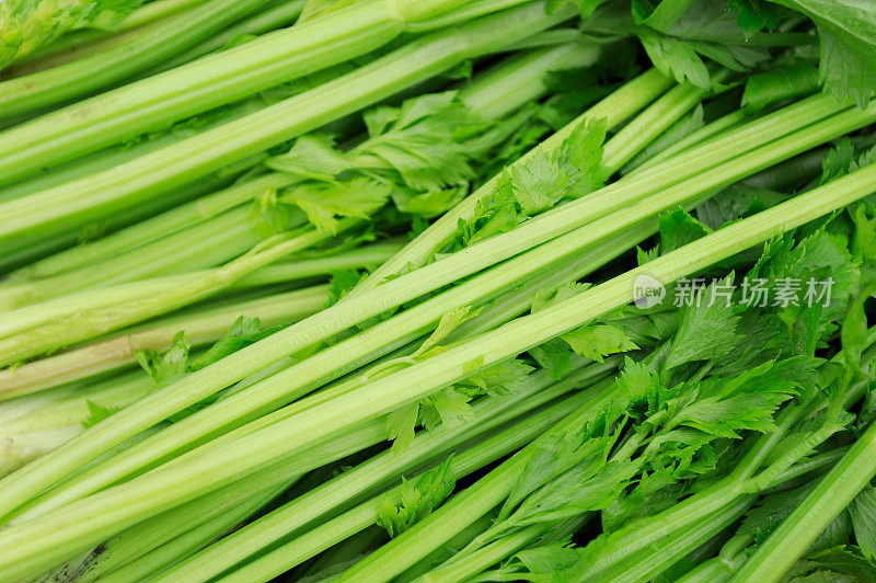 新鲜芹菜在蔬菜市场出售