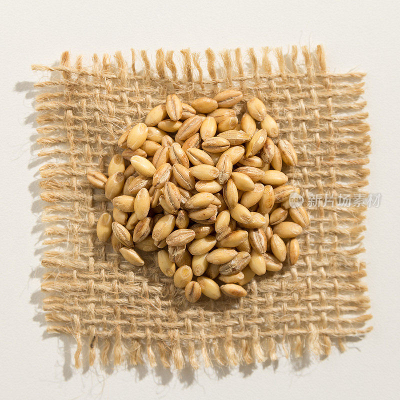 大麦是谷物的学名。也称为Cevada(葡萄牙语)和Cebada(西班牙语)。近距离观察粗麻布上的谷物。