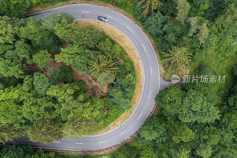 蜿蜒的道路穿过森林