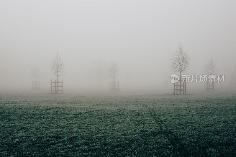 伦敦布鲁姆菲尔德公园的草地和树木，在寒冷的冬天的早晨消失在雾中。
