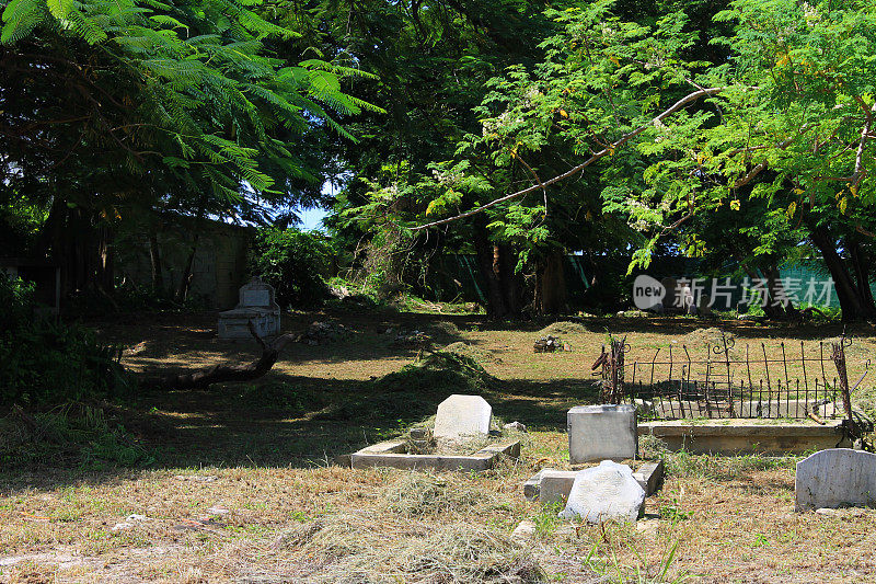 牙买加蒙特哥湾路边的公墓