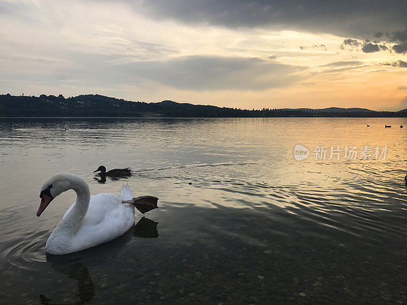 瓦雷泽湖