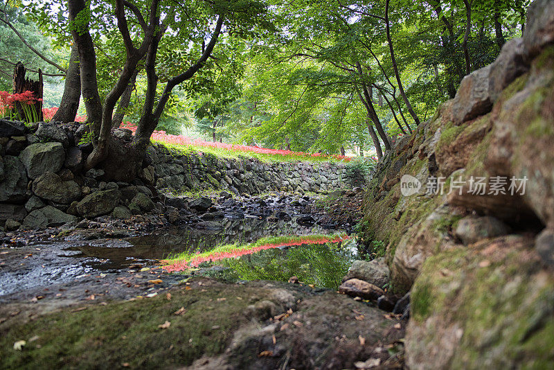 韩平的夏天，龙天沙山谷