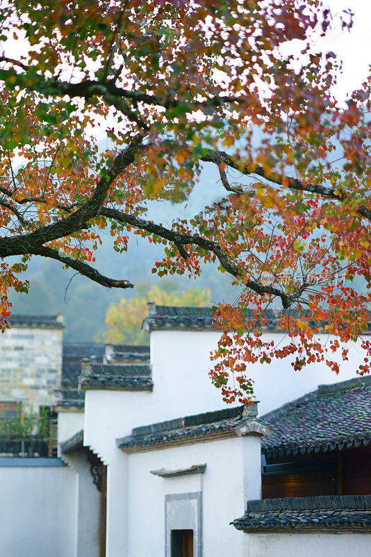 中国古代村落的秋天