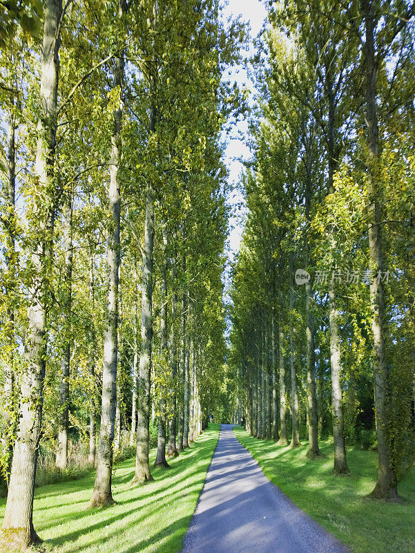 小路路小巷土路乡村乡村风景优美的风景，英国英格兰中部的沃里克郡