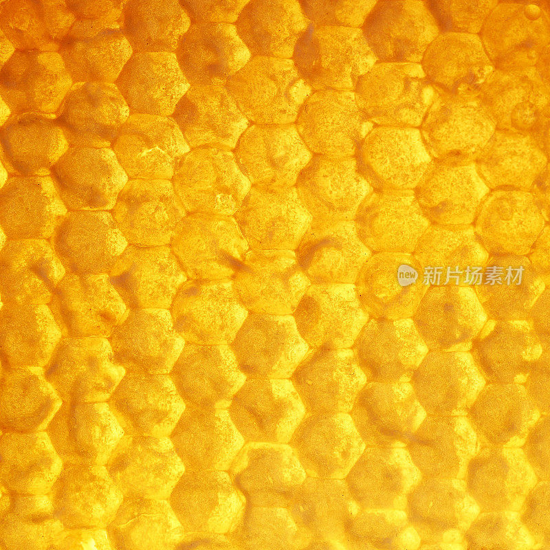 方形的美味背景金色的蜂窝与流动的粘稠甜明亮芬芳的蜂蜜