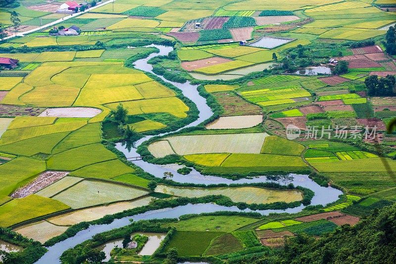 越南北宋的稻田谷地