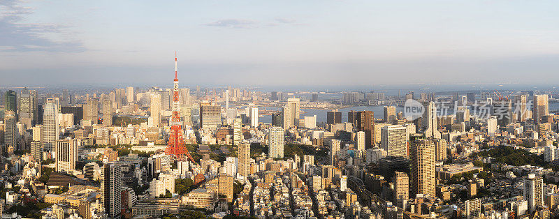 东京市景，鸟瞰图，日本