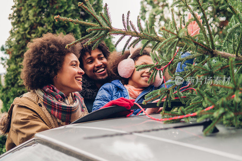 一家人把圣诞树绑在车上