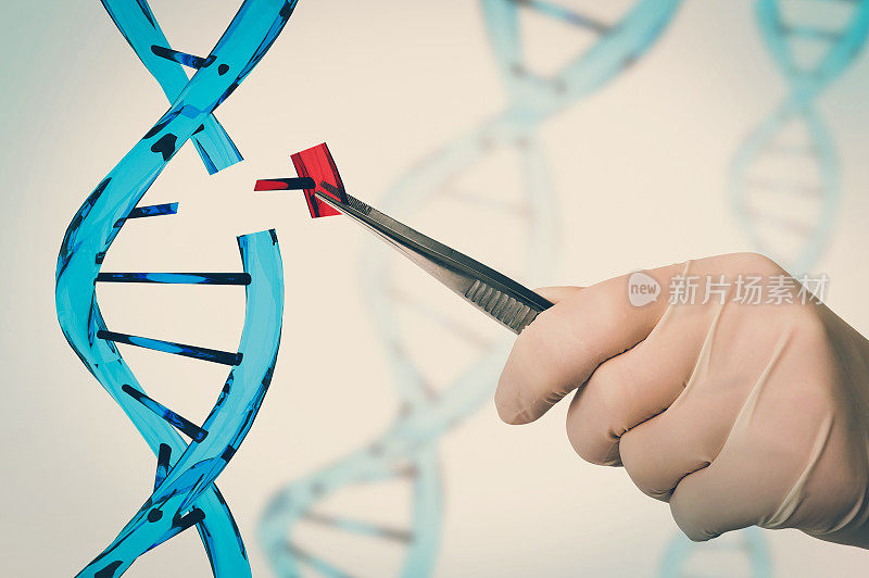 基因工程和基因操作概念