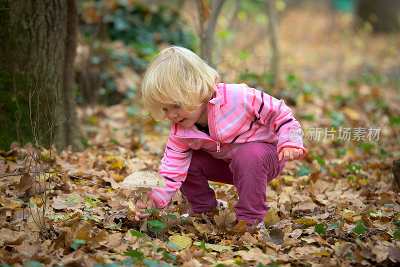 小女孩在收集阳伞蘑菇