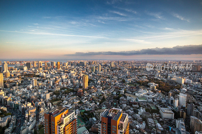 日本东京的现代城市全景