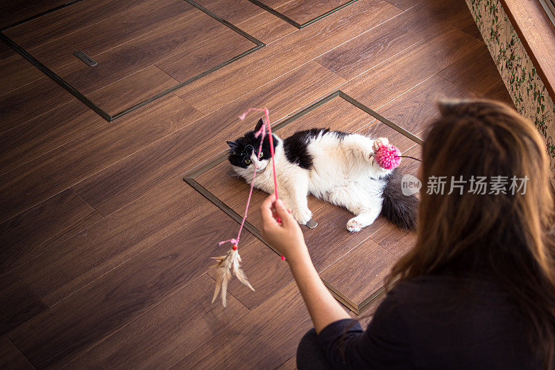 一个女人在东京的猫咪咖啡馆里和一只猫玩