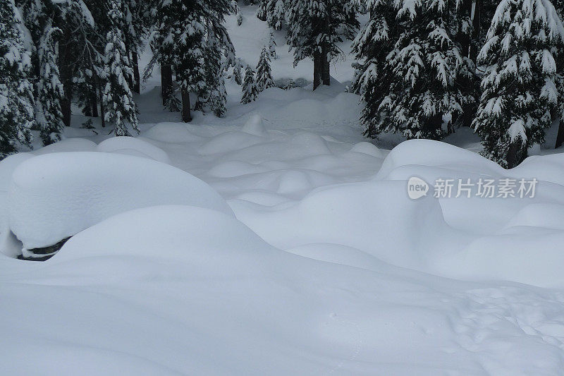 雪覆盖的树木和岩石，联邦盆地雪鞋