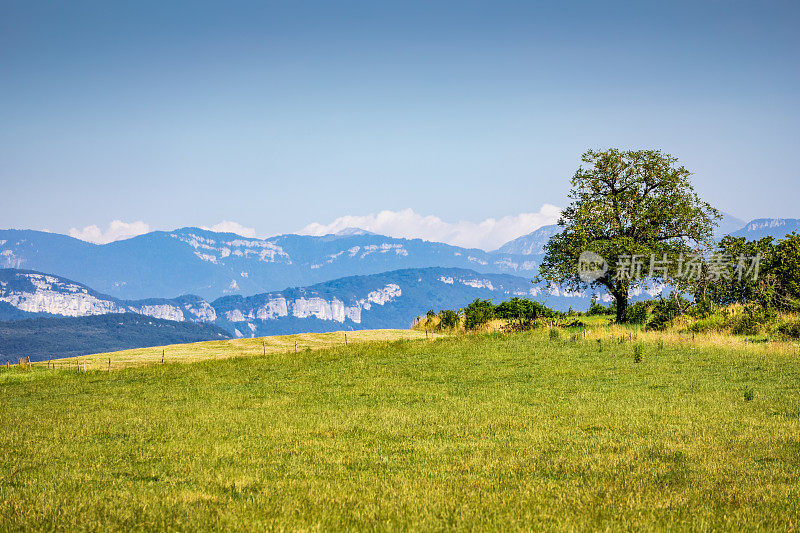 大的绿色草山在草地与复制空间和Bugey山脉在法国阿尔卑斯山的背景