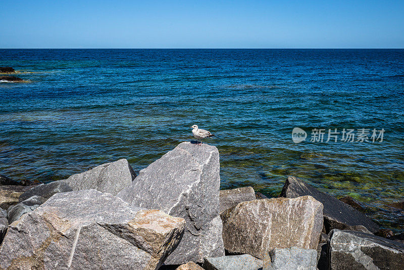 丹麦博恩霍尔姆海岸线