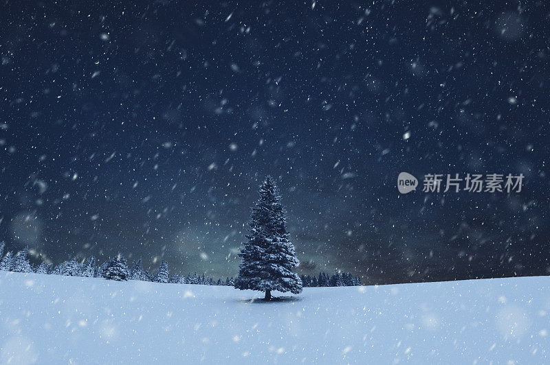 圣诞树暴风雪