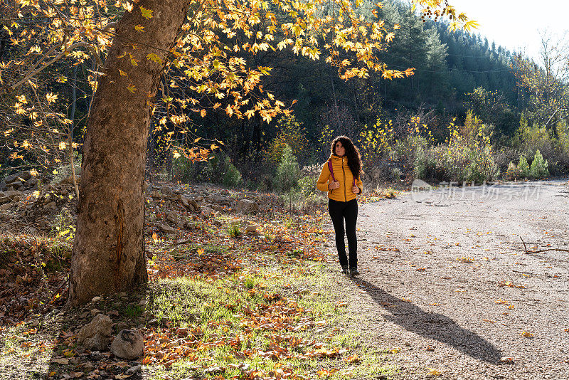 秋日，站在梧桐树旁的成年女子