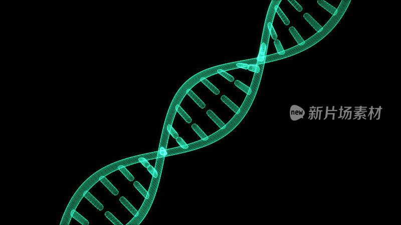 黑板上分离的DNA