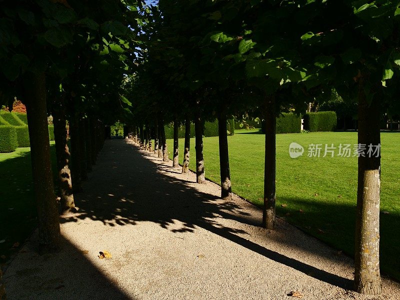 古老的围墙英国乡村别墅花园和分配与植物和鲜花