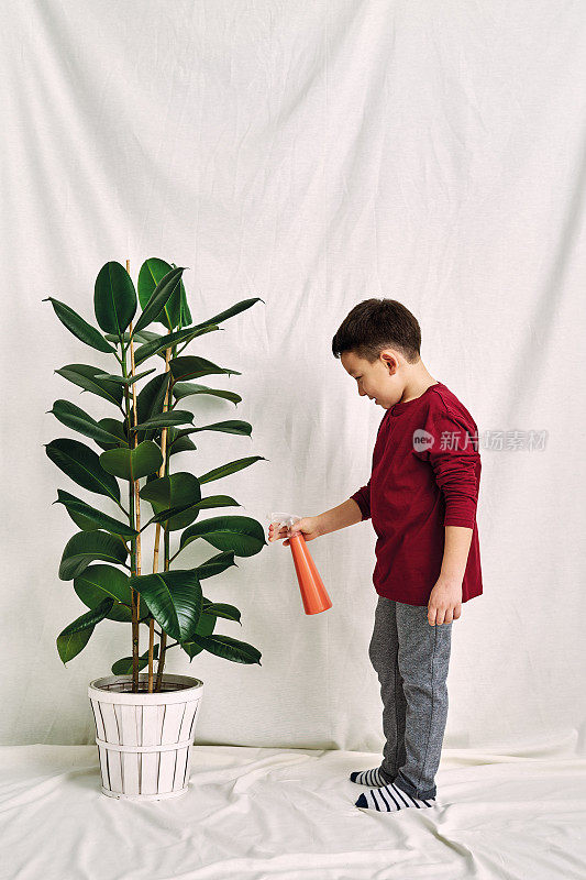 孩子在给他的植物浇水。经济增长的概念。