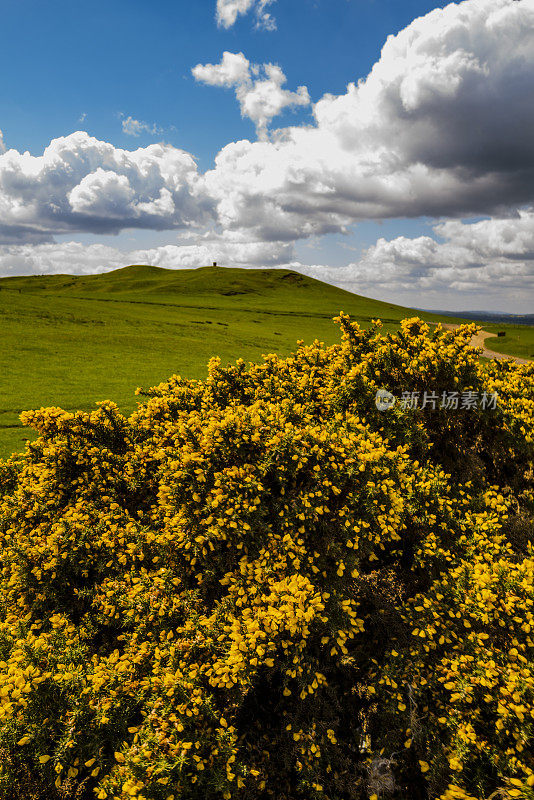 伯顿达塞特山俯瞰英国风景，英国中部的沃里克郡