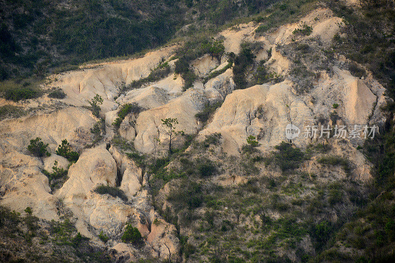 香港新界青山盆地