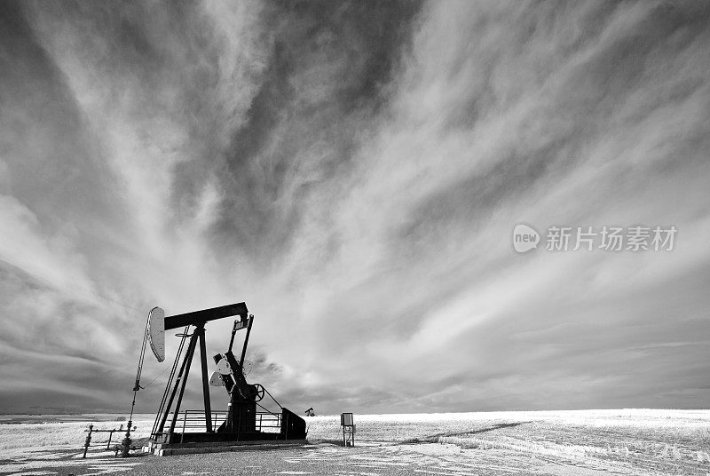 黑色和白色图像的石油抽油机在阿尔伯塔