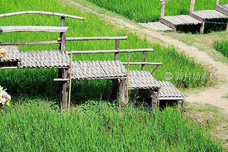绿色稻田上的旧木楼梯