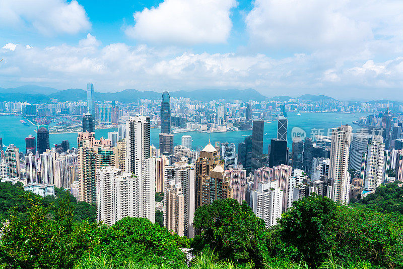 香港日出摩天大楼拥挤的城市景观和海港全景中国