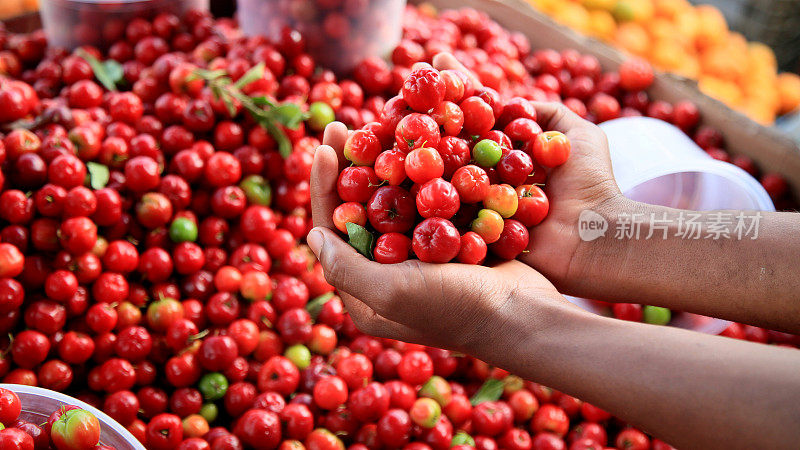 萨尔瓦多出售的针叶罗拉水果