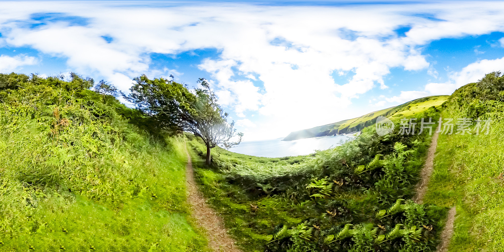 大屿山湾和大屿山湾之间的360度步道图像