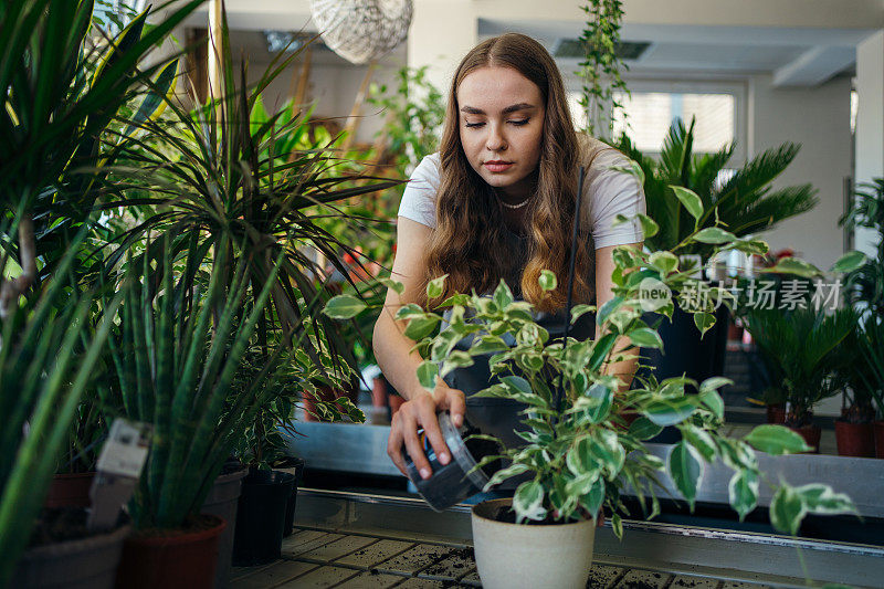 女花匠正在移植植物