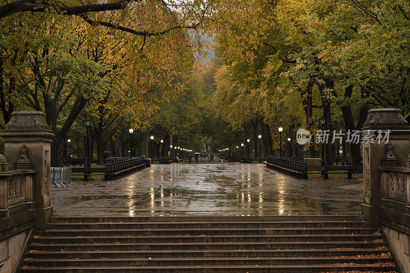 中央公园秋雨