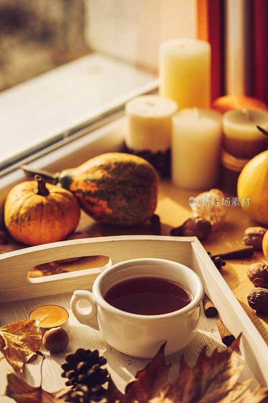 秋天的舒适角落，喝杯茶