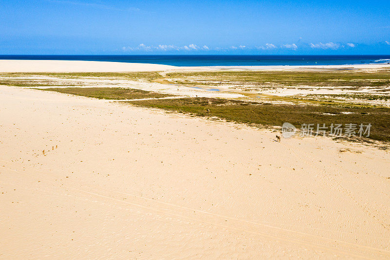 高角度的沙丘在Jericoacoara，塞阿拉，巴西