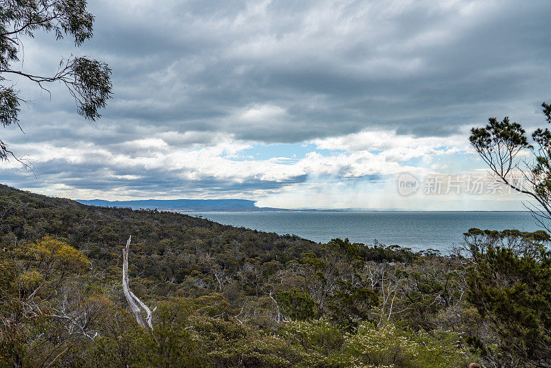 澳大利亚塔斯马尼亚州弗雷西内半岛的弗雷西内国家公园，通往葡萄酒杯湾和科尔斯湾的步道风景