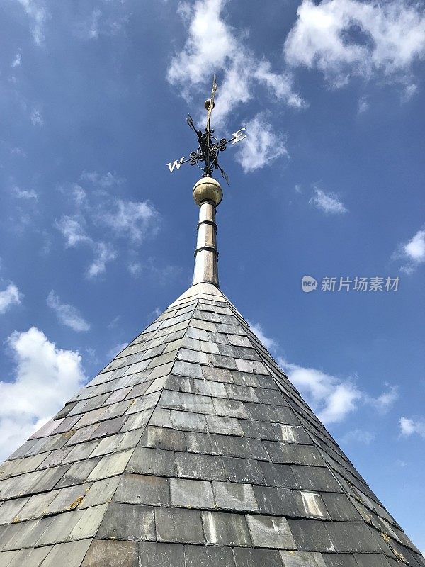 黑麦的细节