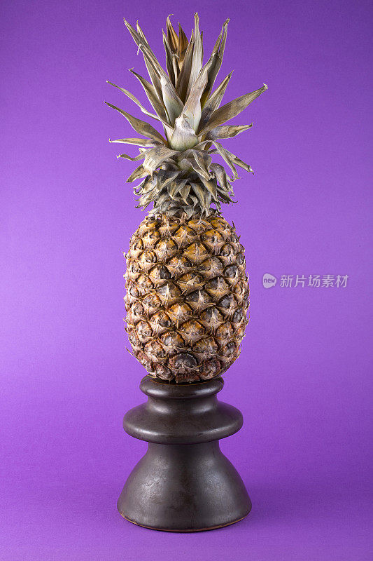 紫色背景上放着菠萝的静物画