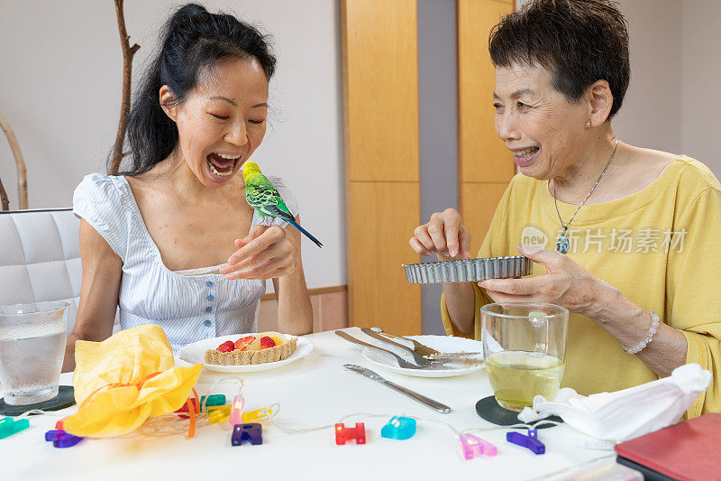 和宠物在家里庆祝生日