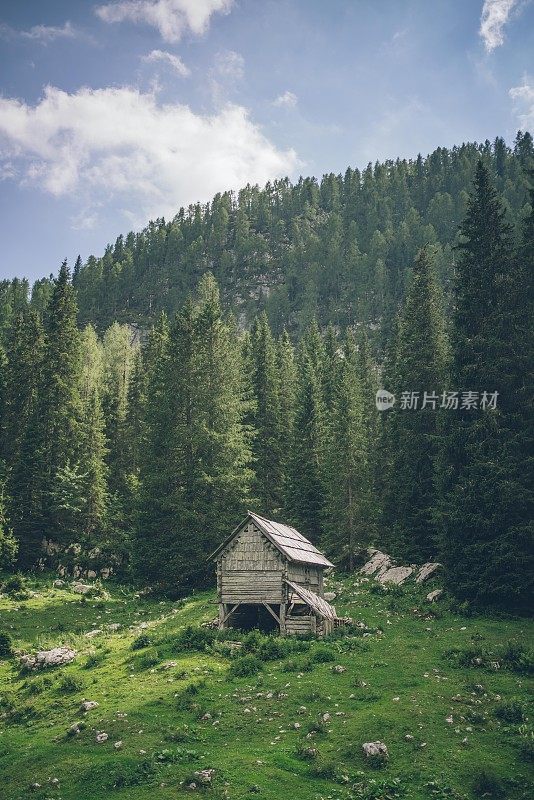 草地上农舍的风景