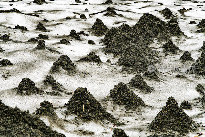 俄罗斯堪察加半岛的火山景观。