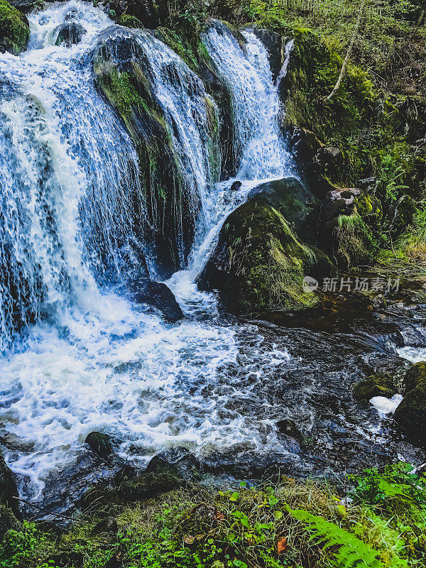黑森林中有瀑布的石质小河流。
