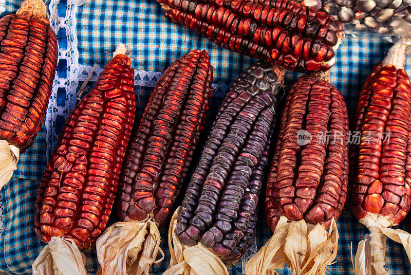 色彩鲜艳的本地红色和蓝色玉米，产自墨西哥中部