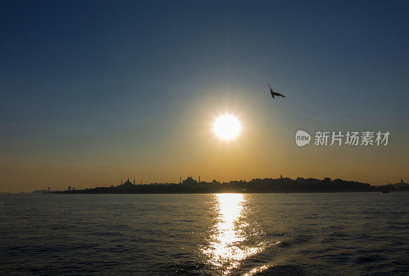 日落时分，海鸥飞过伊斯坦布尔上空