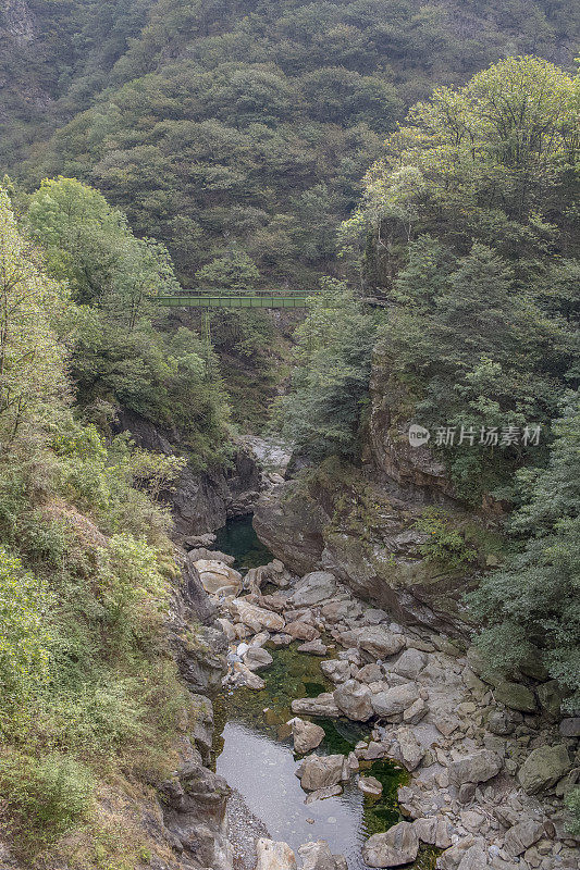 小溪穿过岩石地面进入森林